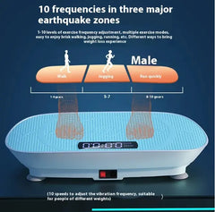 30Hz 3D Oscillation Fitness Machine