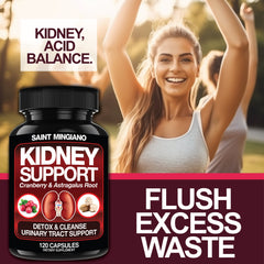 Kidney Support Cleanse & Detox – Cranberry + Astragalus (120 Caps)