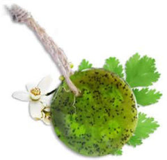 Speckless Soap Bar – Chia, Lemon, Parsley & Coconut Oil